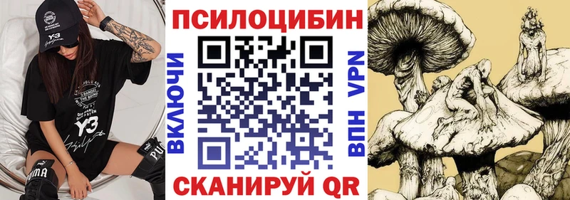 Галлюциногенные грибы прущие грибы  наркотики  Дмитровск 
